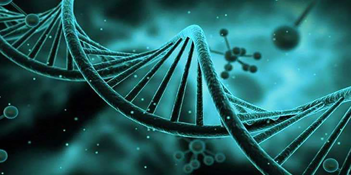 影响试管婴儿成功几率的因素分析